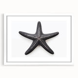 Marine life wall art featuring a starfish design in a white frame with a mat, ideal for coastal decor. Perfect for enhancing beach-themed interiors.