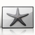 Framed wall art showcasing a vibrant starfish design on a black background, highlighting marine life aesthetics in home decor. Perfect for ocean-themed interiors.