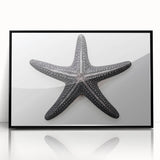 Framed wall art showcasing a vibrant starfish design on a black background, highlighting marine life aesthetics in home decor. Perfect for ocean-themed interiors.