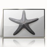 Framed wall art featuring a marine life starfish design, showcasing vibrant colors and intricate details, set in a sleek silver frame, ideal for coastal decor.