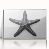 Framed acrylic wall art showcasing a vibrant starfish design against a white background, perfect for marine life enthusiasts and coastal decor. The framed piece adds a touch of elegance to any room, making it an ideal choice for beach-inspired interiors.