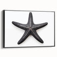 Framed canvas wall art showcasing a vibrant marine life design featuring a starfish, with a sleek black frame, perfect for coastal-themed decor.