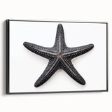 Framed canvas wall art showcasing a vibrant marine life design featuring a starfish, with a sleek black frame, perfect for coastal-themed decor.
