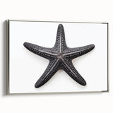 Framed canvas wall art showcasing a vibrant starfish design, elegantly set against a silver background, perfect for marine life decor enthusiasts.
