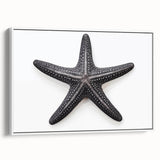 Framed canvas wall art showcasing a vibrant marine life design featuring a starfish, presented in a sleek white frame, ideal for coastal decor enthusiasts.