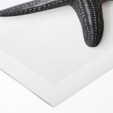 Colorful rolled canvas wall art showcasing a vibrant starfish design, perfect for marine life enthusiasts. Ideal for coastal decor and ocean-themed interiors.