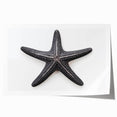 Colorful marine life wall art featuring a starfish design, ideal for coastal decor. This rolled print showcases vibrant hues and intricate details, perfect for enhancing any ocean-themed space.