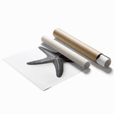 Brightly colored starfish wall art print showcasing intricate marine life designs, ideal for coastal decor. Features vibrant hues of blue and orange on high-quality paper.