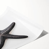 Colorful starfish wall art print featuring a marine life design, showcasing vibrant blue and orange hues, perfect for coastal-themed decor or ocean lovers.