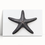 Colorful stretched canvas wall art featuring a vibrant starfish design, showcasing marine life elements, perfect for beach-themed home decor. Ideal for ocean lovers.