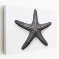 Stretched canvas wall art showcasing a vibrant marine life starfish design, featuring intricate details and vivid colors, perfect for coastal-themed decor.