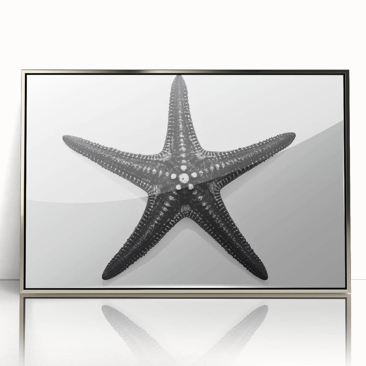 Framed acrylic wall art featuring a vibrant marine life starfish design, showcasing intricate details and a sleek silver frame, perfect for ocean-themed decor.