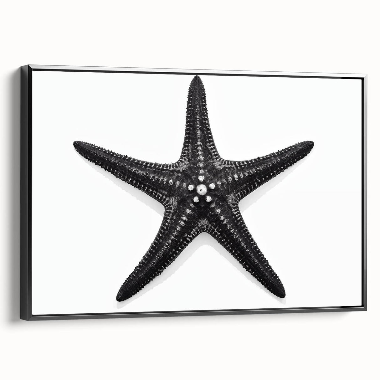 Framed wall art showcasing a marine life starfish design on canvas, featuring vibrant colors and a sleek black frame, perfect for ocean-themed decor.