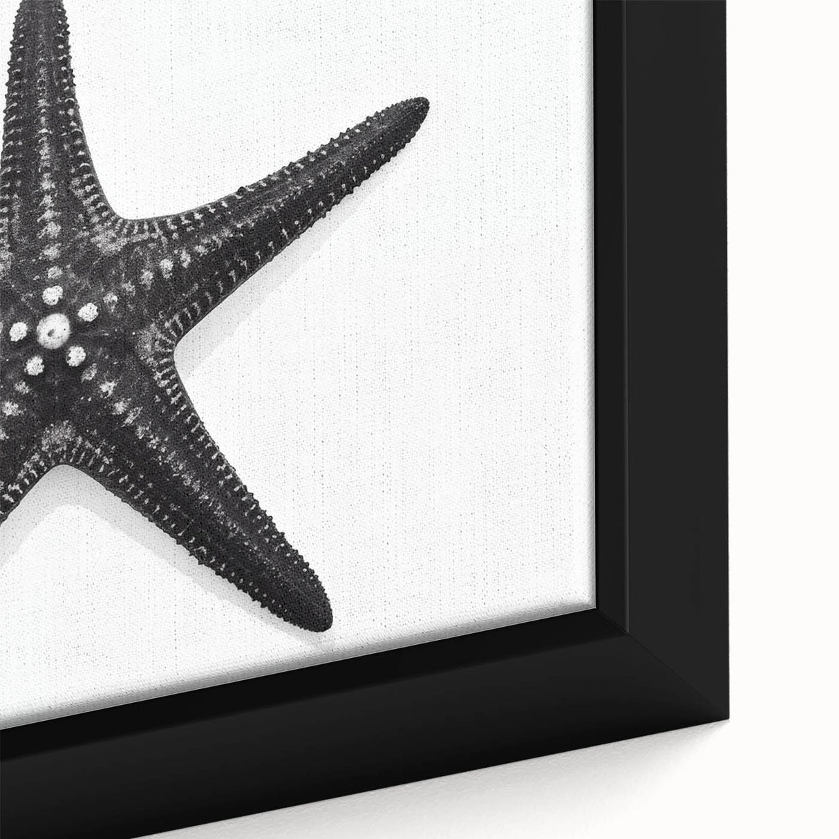 Close-up of a framed canvas wall art piece showcasing a vibrant starfish design in shades of blue and orange, perfect for marine life enthusiasts and coastal decor. Ideal for adding a nautical touch to any room.