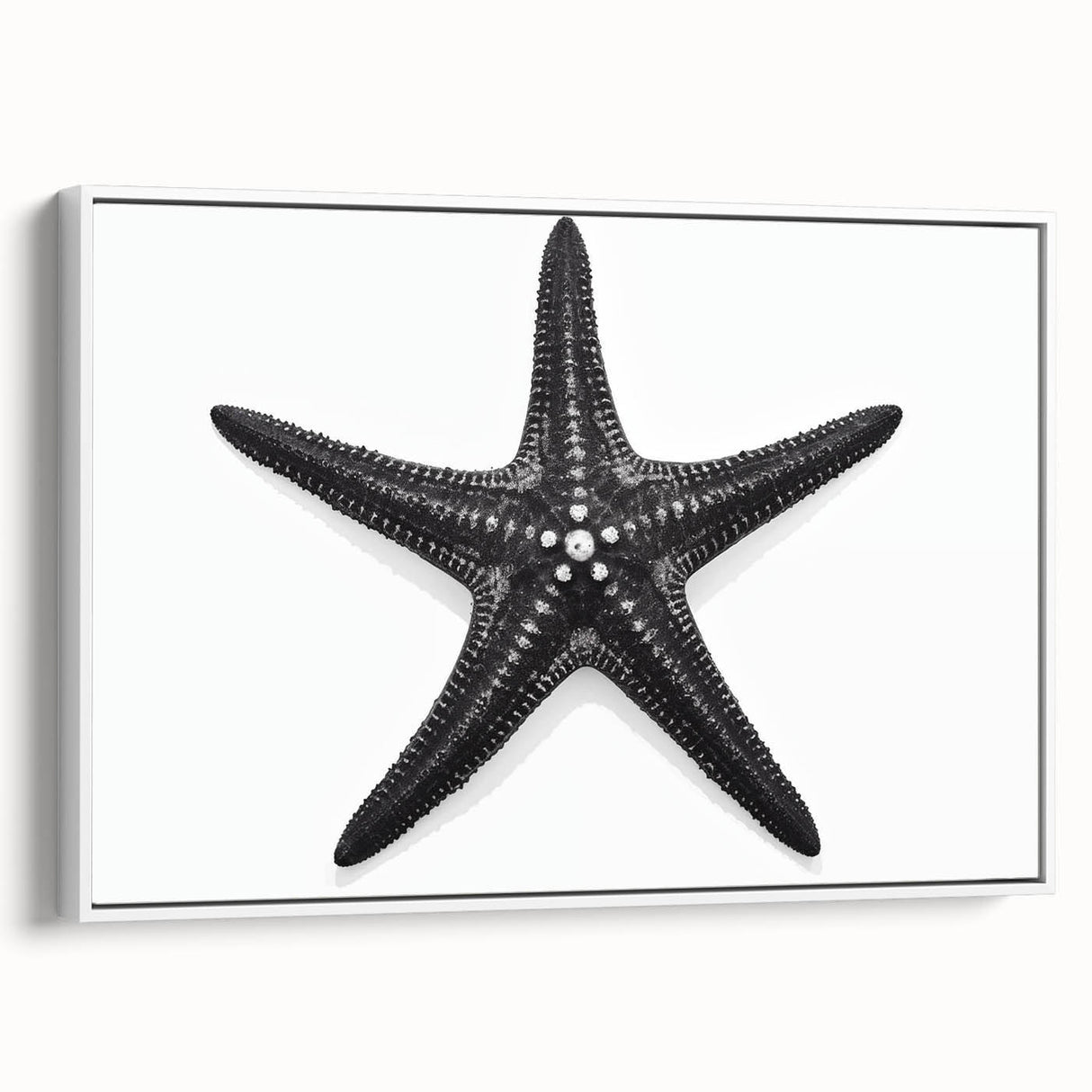 Framed canvas wall art featuring a vibrant marine life starfish design in a stylish white frame, ideal for coastal-themed home decor, showcasing intricate colors and details.
