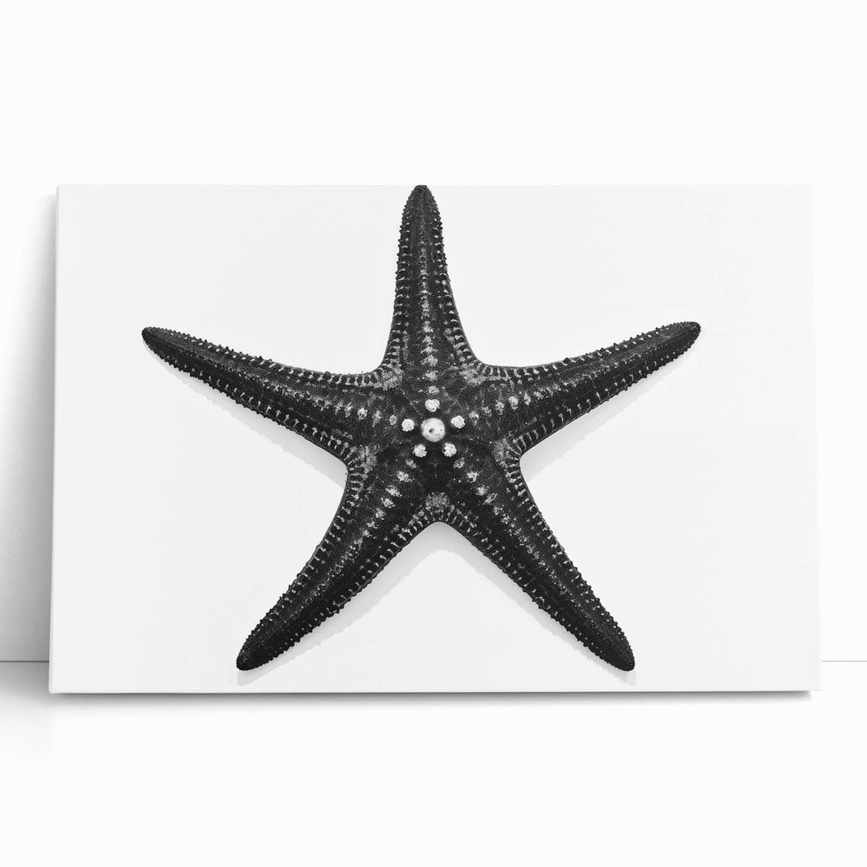 Vibrant stretched canvas wall art showcasing a marine life starfish design, perfect for coastal decor, featuring vivid colors and intricate details.