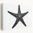 Stretched canvas wall art depicting a vibrant marine life starfish design, showcasing vivid colors and intricate details, perfect for ocean-themed decor.