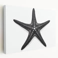Stretched canvas wall art depicting a vibrant marine life starfish design, showcasing vivid colors and intricate details, perfect for ocean-themed decor.