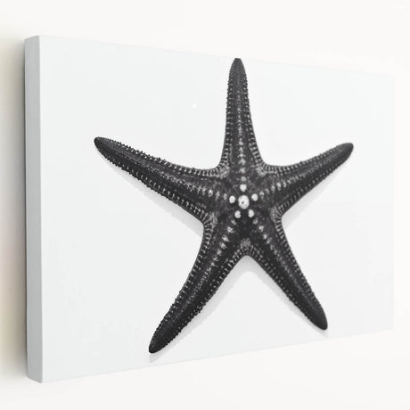 Stretched canvas wall art depicting a vibrant marine life starfish design, showcasing vivid colors and intricate details, perfect for ocean-themed decor.