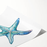 Vibrant starfish wall art print showcasing intricate marine life designs in bold colors, perfect for coastal-themed decor, rolled for easy display and shipping.