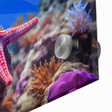 Close-up of vibrant marine life wall art featuring a starfish design, printed on acrylic glass showcasing detailed textures and colors, ideal for coastal decor.