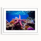 Framed wall art featuring a vibrant marine life starfish design, showcasing intricate details and colors, set against a white mat for an elegant display.