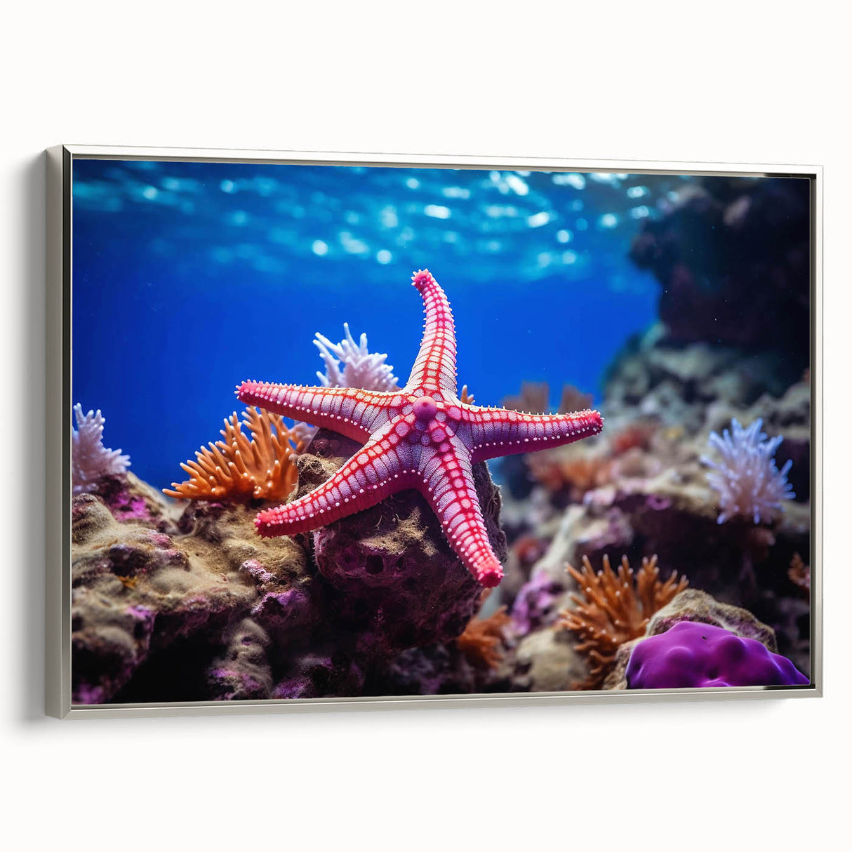 Framed wall art collection showcasing a marine life design with a starfish motif, featuring a sleek silver frame that enhances its coastal aesthetic.