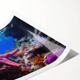 Vibrant wall art print showcasing a colorful starfish design, perfect for marine life enthusiasts. Ideal for coastal-themed decor or beach house interiors.