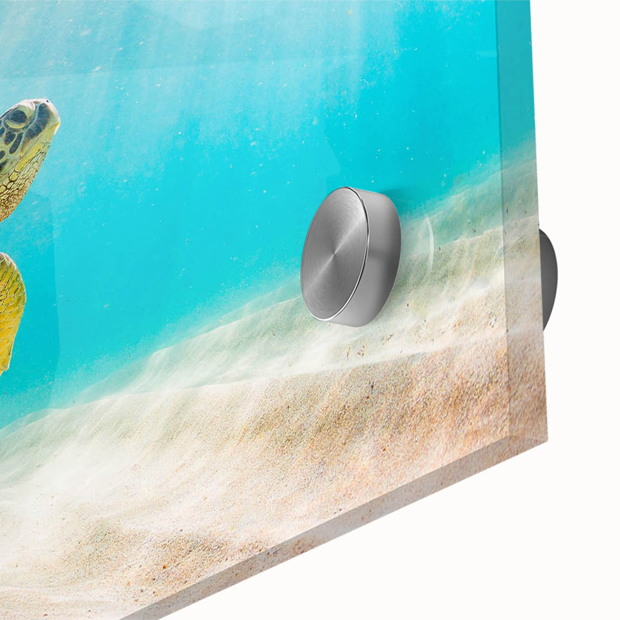Close-up of a marine life wall art piece showcasing a vibrant turtle design on acrylic glass, highlighting intricate details and vivid colors, perfect for ocean-themed decor.