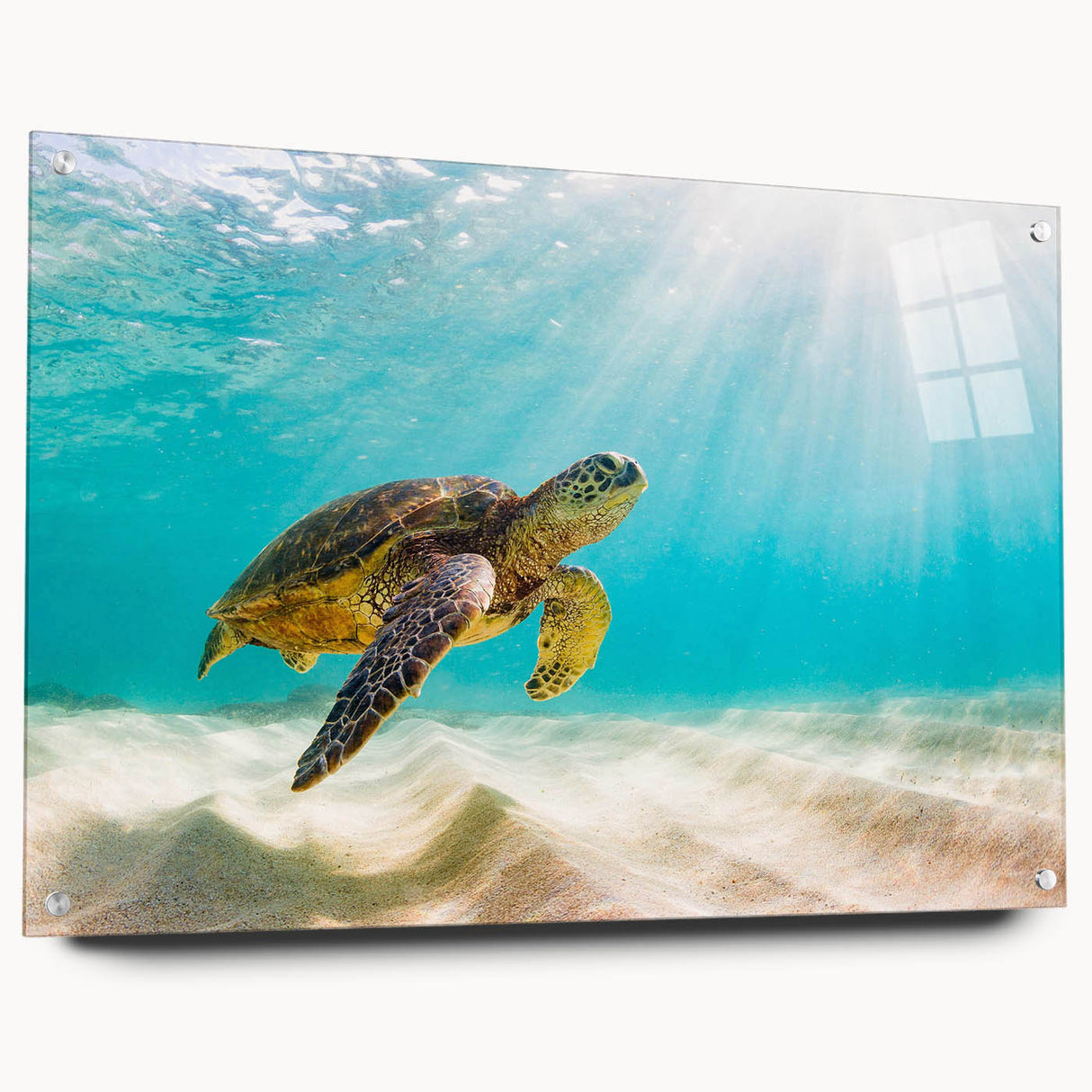 Acrylic wall art featuring a vibrant marine life turtle design, displayed from the side with metallic pins, perfect for ocean-themed decor and environmental awareness.