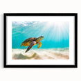 Framed wall art collection featuring a marine life design with a turtle, set in a black frame with a mat, ideal for ocean-themed decor.