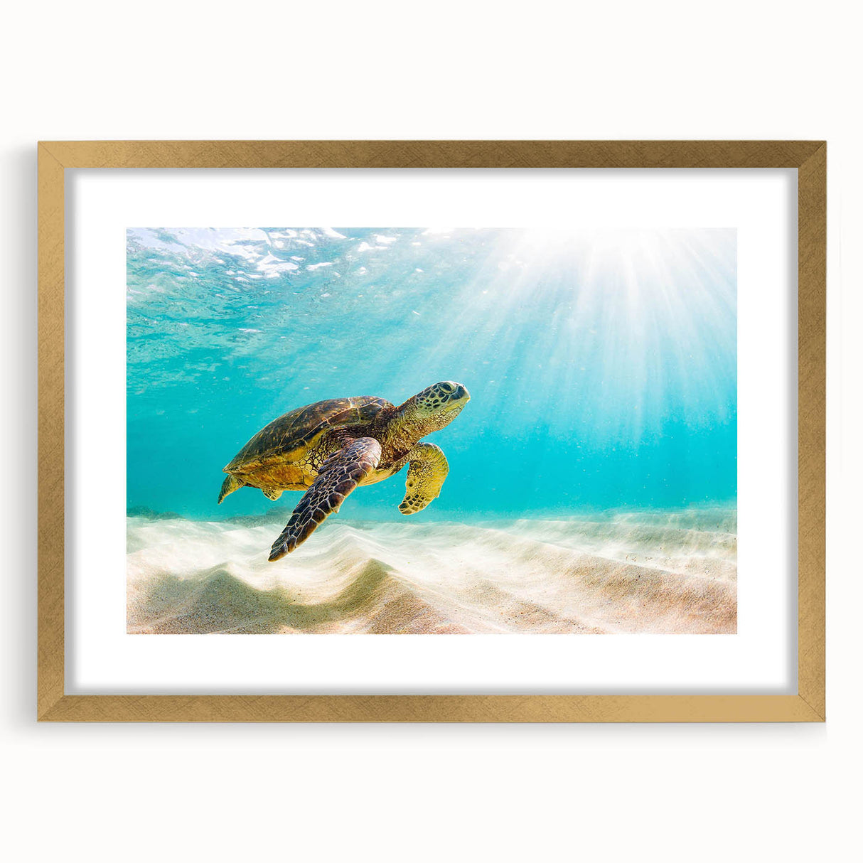 Elegant wall art featuring a marine life turtle design, framed in gold with a white mat, showcasing intricate details and vibrant colors, perfect for ocean-themed decor.