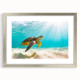 Elegant silver-framed wall art featuring a vibrant marine life design with a turtle, showcasing intricate details and colors, perfect for ocean-themed decor.