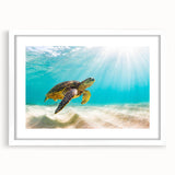 Framed wall art showcasing a vibrant marine life turtle design in a white mat, perfect for ocean-themed decor. Ideal for nature lovers and beach enthusiasts.