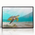 Framed wall art showcasing a marine life turtle design in vibrant colors, featuring a sleek black frame and modern acrylic finish, perfect for ocean-themed decor.