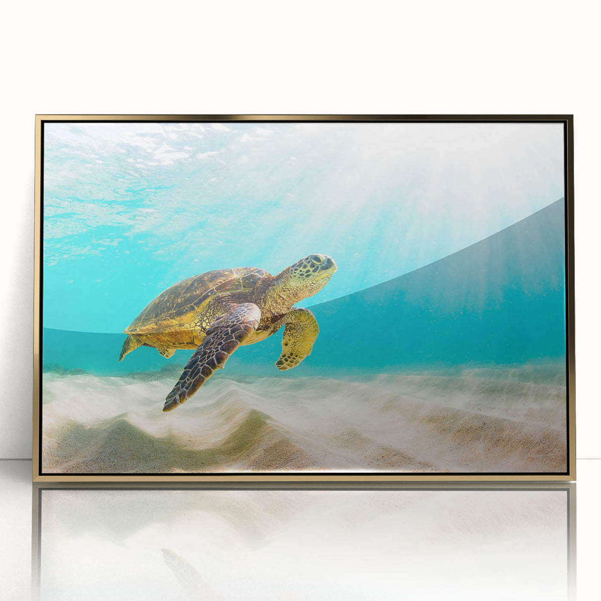 Framed wall art featuring a detailed marine life design of a turtle, with gold accents, set against a serene blue background, perfect for ocean-themed decor.