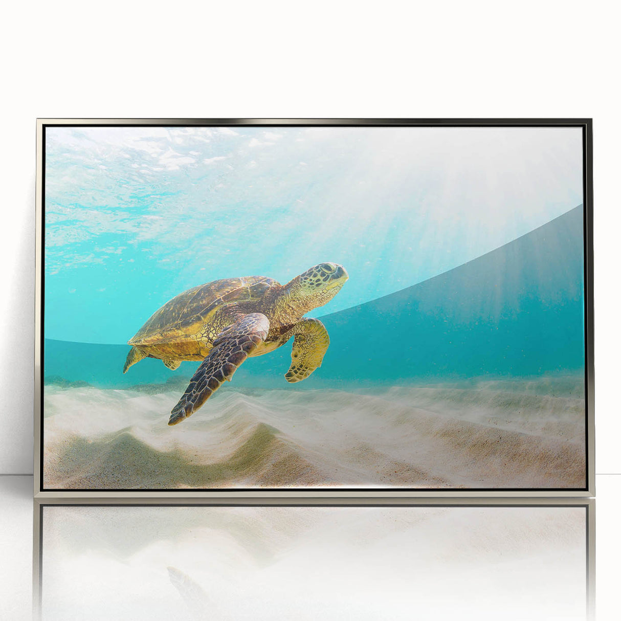 Framed wall art featuring a vibrant marine life design with a turtle, set in an elegant silver frame, ideal for ocean-themed decor and nature lovers.