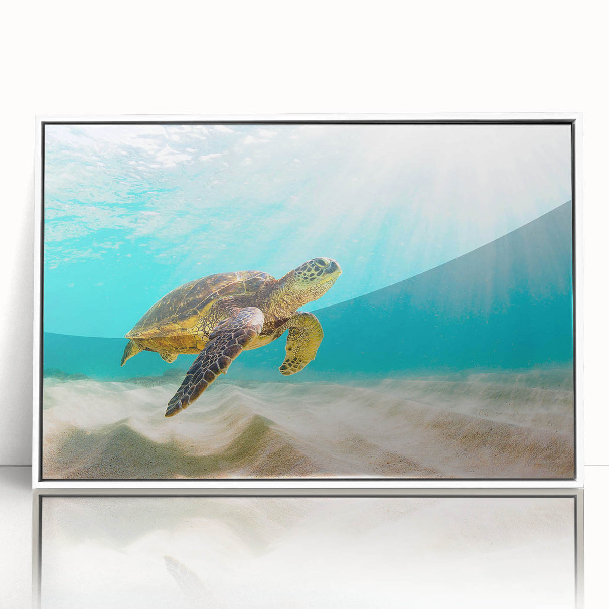 Framed wall art featuring a vibrant marine life design with a turtle, set against a white background, perfect for ocean-themed decor and nature lovers.