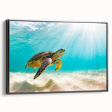 Framed wall art featuring a vibrant marine life design with a turtle, set against a striking black background, perfect for ocean-themed decor.