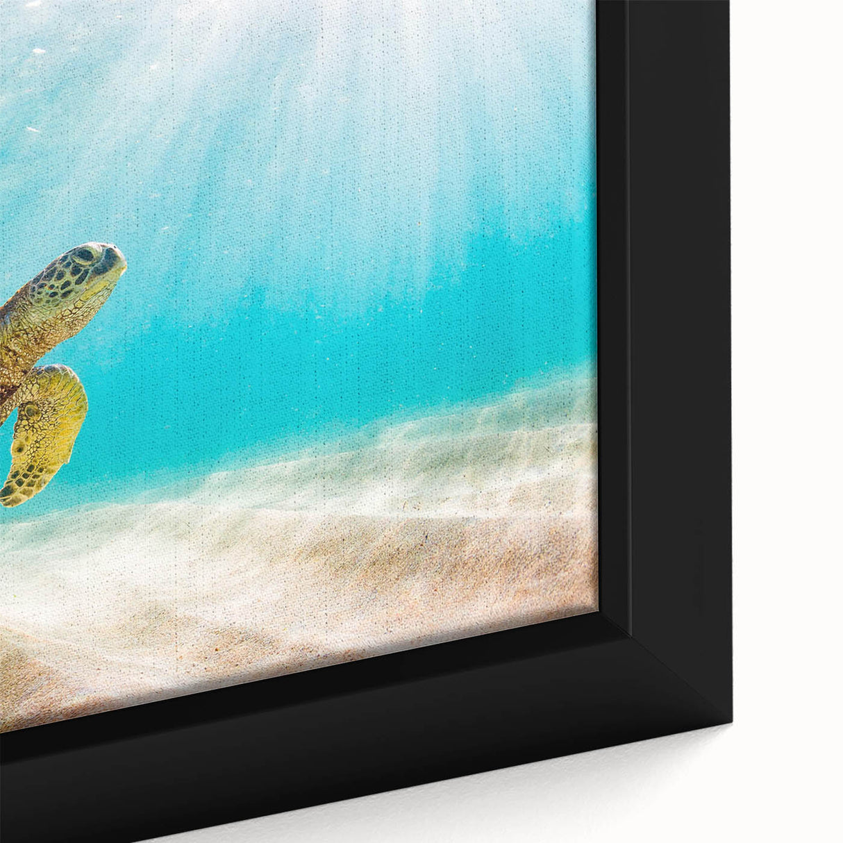 Close-up of a framed canvas wall art featuring a vibrant marine life turtle design, showcasing intricate details and vivid colors, perfect for ocean-themed decor.