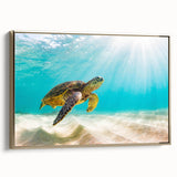 Framed canvas wall art depicting a detailed marine life design featuring a vibrant turtle in gold hues, set against a serene blue background, ideal for ocean-themed decor.