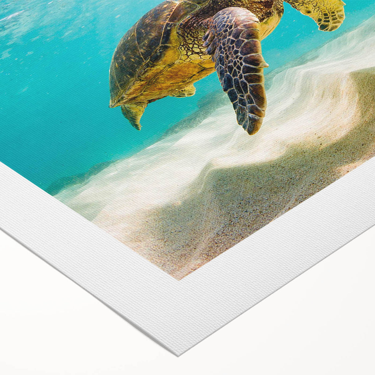 Vibrant rolled canvas wall art depicting a marine turtle design, showcasing intricate details and colors that highlight ocean life, perfect for coastal decor.
