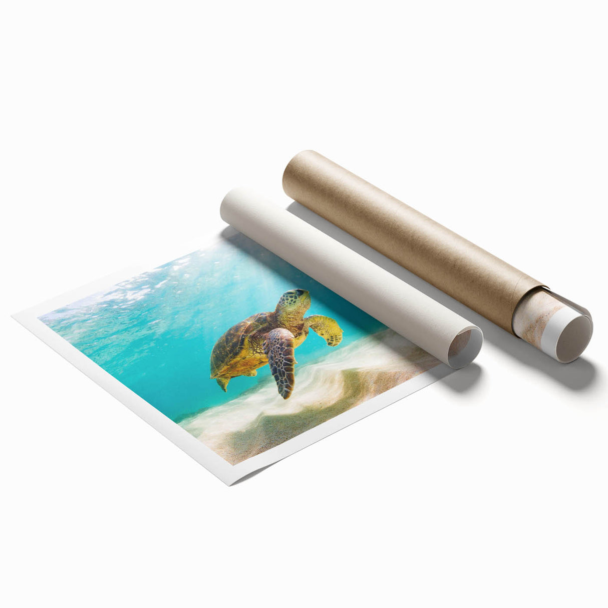 Colorful marine life wall art featuring a turtle design, showcasing vibrant blues and greens, ideal for ocean-themed decor. Perfect for enhancing living spaces.