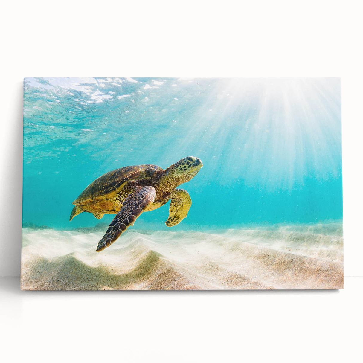 Vibrant marine life wall art featuring a colorful turtle design on stretched canvas, perfect for ocean-themed decor, showcasing intricate details and textures.
