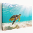 Stretched canvas wall art featuring a vibrant marine life design with a turtle, showcasing detailed textures and colors. Ideal for ocean-themed decor.