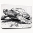 Acrylic wall art showcasing a vibrant marine life turtle design, featuring a side view with pin mounting. The artwork highlights the intricate details and colors of marine biodiversity, making it a perfect décor piece for ocean enthusiasts.