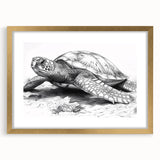 Gold-framed wall art showcasing a vibrant marine life turtle design, elegantly matted, perfect for beach-themed decor, enhancing any living space with oceanic charm.