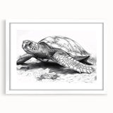 Framed wall art featuring a vibrant marine life design with a turtle motif, set against a white mat for an elegant presentation, perfect for ocean-themed decor.