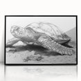 Framed acrylic wall art featuring a vibrant marine life design with a turtle, set against a sleek black frame. Perfect for ocean-themed decor enthusiasts.