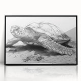 Framed acrylic wall art featuring a vibrant marine life design with a turtle, set against a sleek black frame. Perfect for ocean-themed decor enthusiasts.